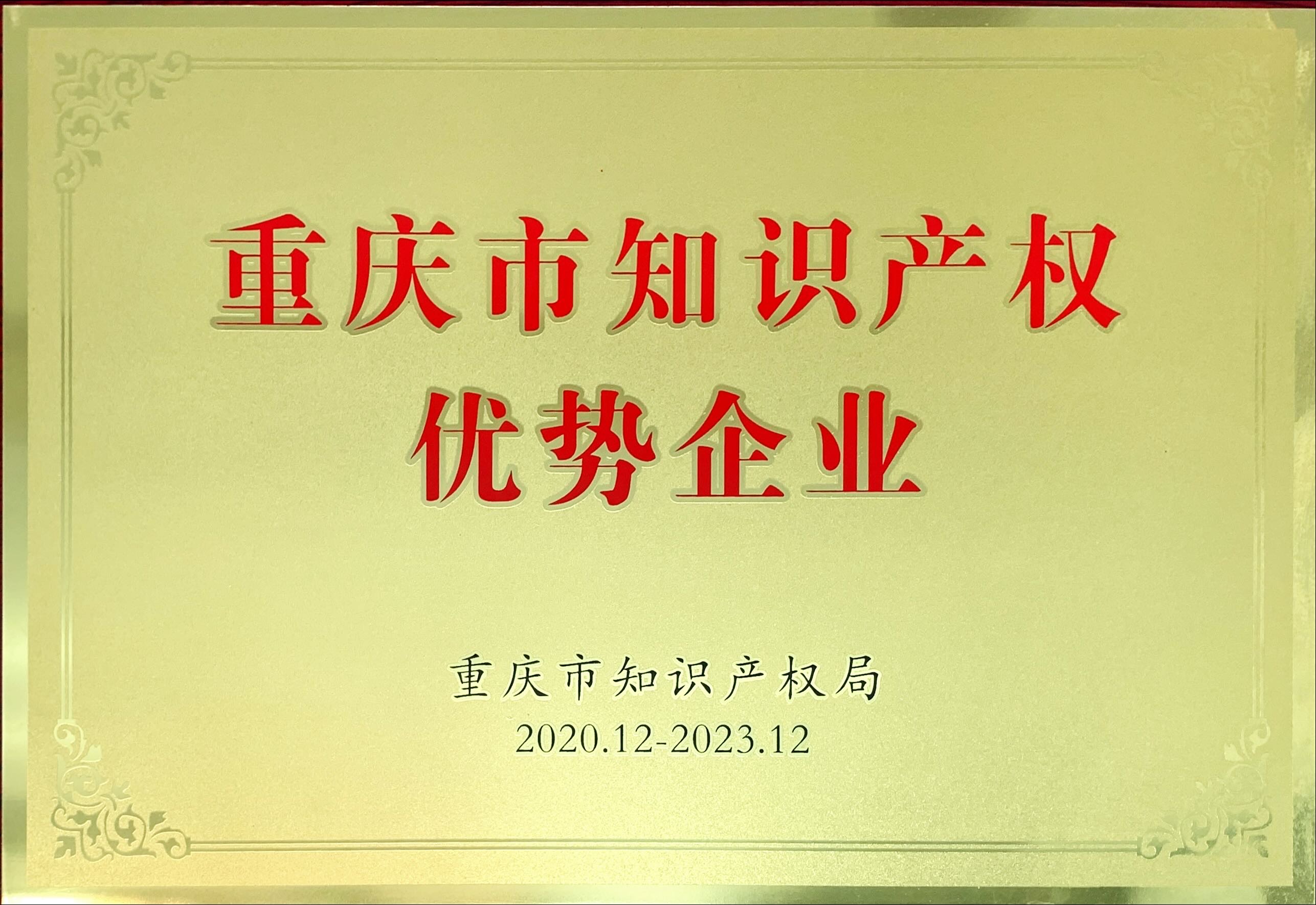 重慶市知識產權優(yōu)勢企業(yè)